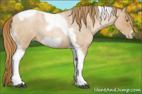 Horse Color:Red Roan Pearl Tobiano Frame
