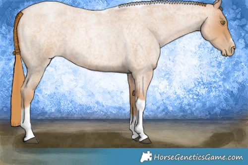 Horse Color:Red Roan Pearl Tobiano Frame 