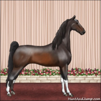 Horse Color:Buckskin Tobiano 