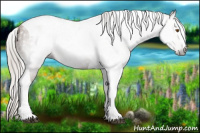 Horse Color:Gray Silver Black Pearl Tobiano 