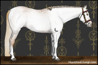 Horse Color:Gray Red Roan Pearl Tobiano Frame 