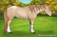 Horse Color:Red Roan Pearl Tobiano Frame 