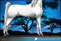 Horse Color:Liver Chestnut Ice Mushroom Varnish Rabicano 