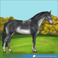 Horse Color:Black Chinchilla Tobiano Rabicano 