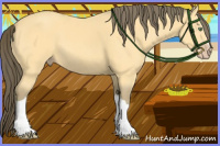 Horse Color:Amber Cream Champagne 