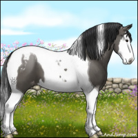 Horse Color:Grullo Splash Tobiano Appaloosa 