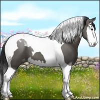 Horse Color:Grullo Splash Tobiano Appaloosa 