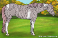 Horse Color:Watercolor Smoky Creme Chinchilla Ice Dun Tobiano 