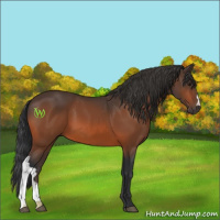 Horse Color:Brown 