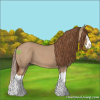 Horse Color:Red Dun Splash 