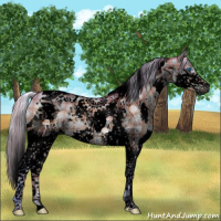 Horse Color:Void Watercolor Plaid  Silver Brown Dun Splash Tobiano 