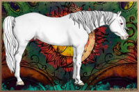 Horse Color:Silver Amber Champagne Chinchilla Roan Splash 