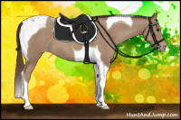 Horse Color:Classic Champagne Tobiano Appaloosa 