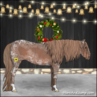 Horse Color:Liver Chestnut Ice Rabicano
