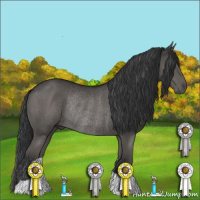 Horse Color:Grullo Rabicano 