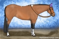 Horse Color:Bay Roan Tobiano 