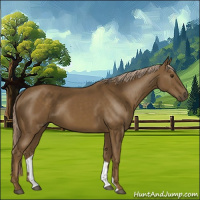 Horse Color:Chocolate Palomino 