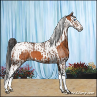 Horse Color:Bay Splash Tobiano Blanket and Bay Splash Tobiano Varnish