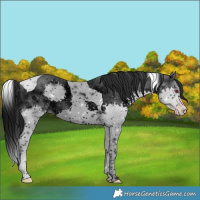 Horse Color:ERROR: UNKNOWN ANOMALY