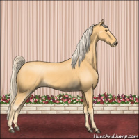 Horse Color:Palomino