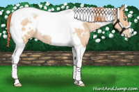 Horse Color:White Spotted Buckskin Pearl Tobiano Rabicano