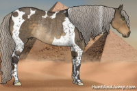 Horse Color:Silver Smoky Grullo Tobiano Rabicano