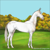 Horse Color:Chocolate Palomino Pearl Tobiano Frame  and Chocolate Palomino Pearl Dun Tobiano Frame 
