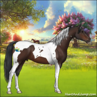 Horse Color:Bay Tobiano 