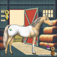 Horse Color:Palomino Roan Snowcap 