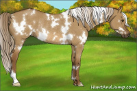 Horse Color:White Spotted Chocolate Palomino Dun Rabicano 
