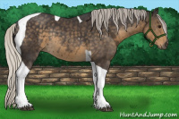 Horse Color:Silver Smoky Black Tobiano Rabicano 