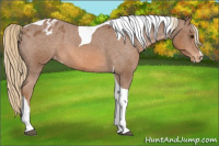 Horse Color:Chestnut Sabino Tobiano Varnish 