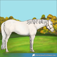 Horse Color:Silver Amber Cream Champagne Pearl Dun 