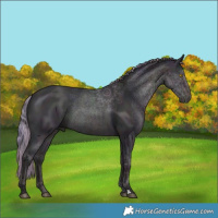 Horse Color:Nacre Watercolor Midnight Bay Pearl Dun 