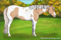 Horse Color:Silver Amber Champagne Tobiano Rabicano 