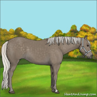 Horse Color:Silver Smoky Black 