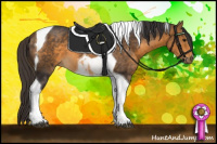 Horse Color:Buckskin Tobiano