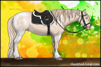 Horse Color:Perlino 