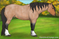 Horse Color:Bay Roan Tobiano