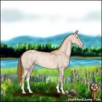 Horse Color:Gold Champagne Dun Sabino Brindle 