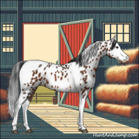 Horse Color:Brown Splash Tobiano Near Leopard