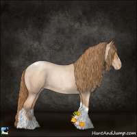 Horse Color:Red Roan Pearl Tobiano Frame 
