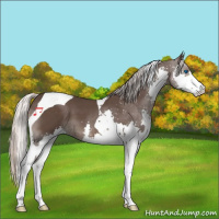 Horse Color:Silver Black Splash Tobiano 