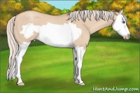 Horse Color:Silver Classic Champagne Dun Splash Frame 