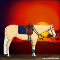 Horse Color:Palomino Splash 