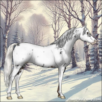 Horse Color:Liver Chestnut Mushroom Sabino 