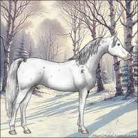 Horse Color:Liver Chestnut Mushroom Sabino Splash 