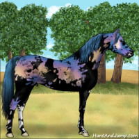 Horse Color:Void Watercolor White Spotted Liver Red Onyx Splash Rabicano 