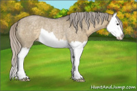 Horse Color:Silver Smoky Grullo Roan Splash Rabicano