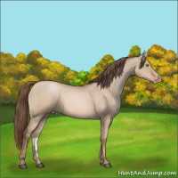 Horse Color:Brown Pearl Dun Mushroom Sabino
